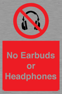 PV10565: No Earbuds or Headphones