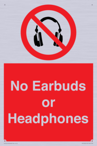 PV10565: No Earbuds or Headphones