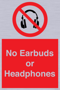 PV10565: No Earbuds or Headphones