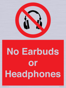 PV10565: No Earbuds or Headphones