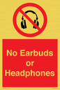 PV10565: No Earbuds or Headphones
