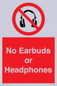 PV10565: No Earbuds or Headphones