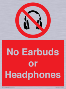 PV10565: No Earbuds or Headphones
