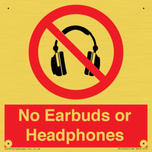 PV10565: No Earbuds or Headphones