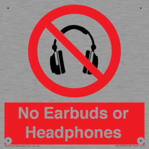 PV10565: No Earbuds or Headphones