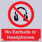 PV10565: No Earbuds or Headphones