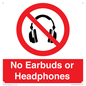 PV10565: No Earbuds or Headphones