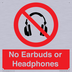 PV10565: No Earbuds or Headphones