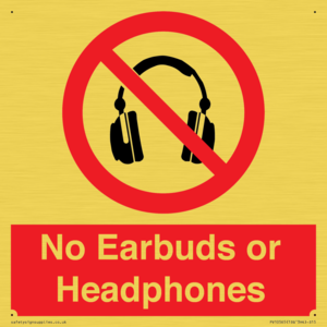 PV10565: No Earbuds or Headphones