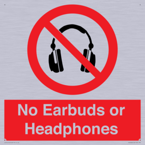 PV10565: No Earbuds or Headphones
