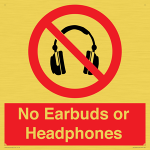 PV10565: No Earbuds or Headphones