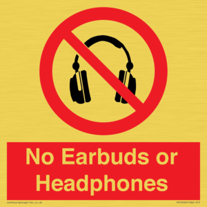 PV10565: No Earbuds or Headphones