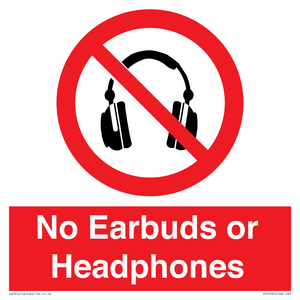 PV10565: No Earbuds or Headphones