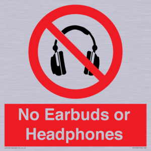 PV10565: No Earbuds or Headphones