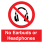 PV10565: No Earbuds or Headphones