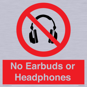 PV10565: No Earbuds or Headphones