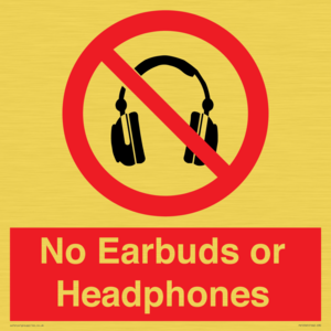PV10565: No Earbuds or Headphones