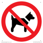 PV11276: P021 Prohibition: No dogs