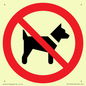 PV11276: P021 Prohibition: No dogs