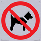 PV11276: P021 Prohibition: No dogs