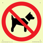 PV11276: P021 Prohibition: No dogs