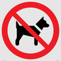 PV11276: P021 Prohibition: No dogs