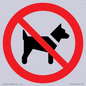 PV11276: P021 Prohibition: No dogs