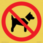 PV11276: P021 Prohibition: No dogs