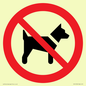 PV11276: P021 Prohibition: No dogs