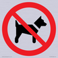 PV11276: P021 Prohibition: No dogs