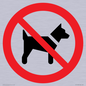 PV11276: P021 Prohibition: No dogs