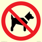 PV11276: P021 Prohibition: No dogs