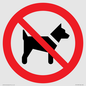 PV11276: P021 Prohibition: No dogs