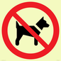 PV11276: P021 Prohibition: No dogs