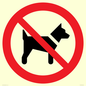 PV11276: P021 Prohibition: No dogs