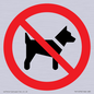PV11276: P021 Prohibition: No dogs
