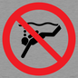 PV11334: Prohibition: No sub-aqua diving