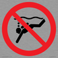 PV11334: Prohibition: No sub-aqua diving