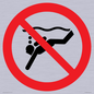 PV11334: Prohibition: No sub-aqua diving