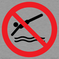PV11336: Prohibition: No diving