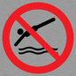 PV11336: Prohibition: No diving