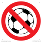 PV11752: P909 Prohibition: No ball games