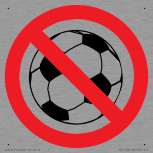 PV11752: P909 Prohibition: No ball games