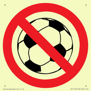 PV11752: P909 Prohibition: No ball games