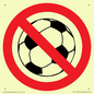 PV11752: P909 Prohibition: No ball games