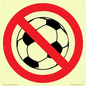 PV11752: P909 Prohibition: No ball games