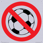 PV11752: P909 Prohibition: No ball games