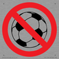 PV11752: P909 Prohibition: No ball games
