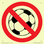 PV11752: P909 Prohibition: No ball games