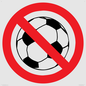 PV11752: P909 Prohibition: No ball games
